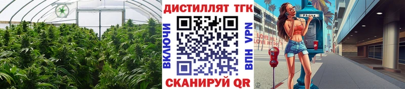 мега зеркало  Барабинск  Дистиллят ТГК гашишное масло  купить наркотик 