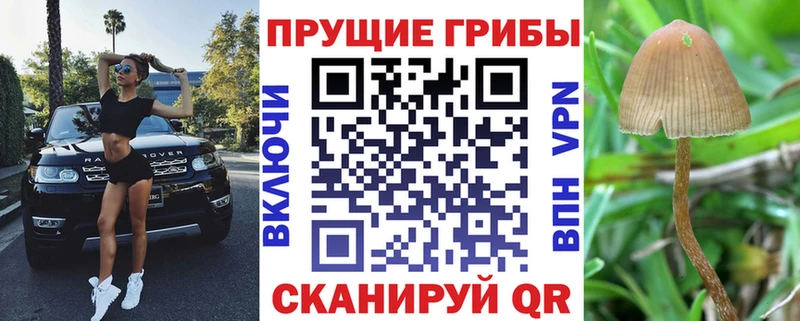 блэк спрут онион  Барабинск  Галлюциногенные грибы Psilocybine cubensis  купить наркотик 