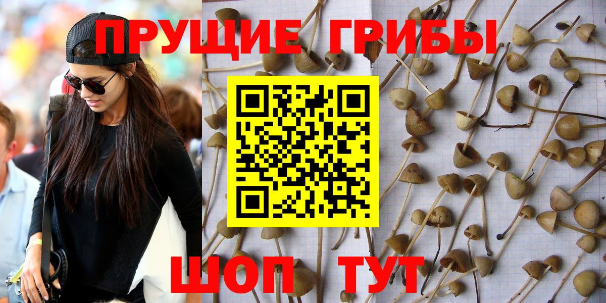 Псилоцибиновые грибы GOLDEN TEACHER Барабинск