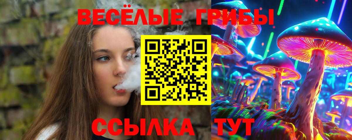 Галлюциногенные грибы Psilocybe Барабинск