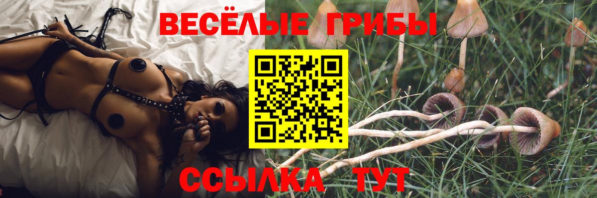 Псилоцибиновые грибы Cubensis  Вход с VPN  Барабинск 